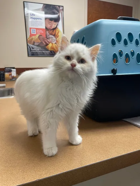 my son and his transformation pics!!