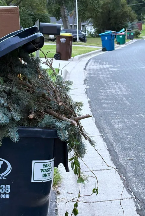5 houses in a row with 5 different garbage companies in my neighborhood.