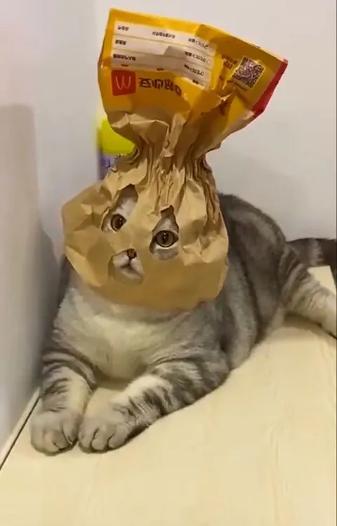 What's his superhero name?