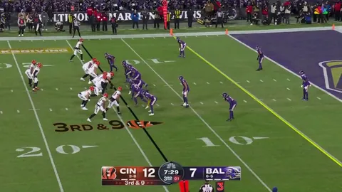 [Highlight] Tanner Hudson sweet one-handed catch for Bengals touchdown