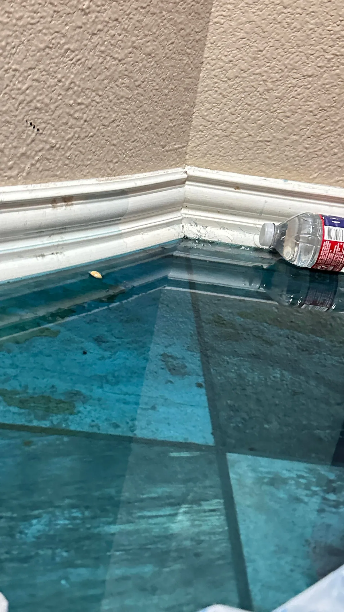 about a whole gallon wasted