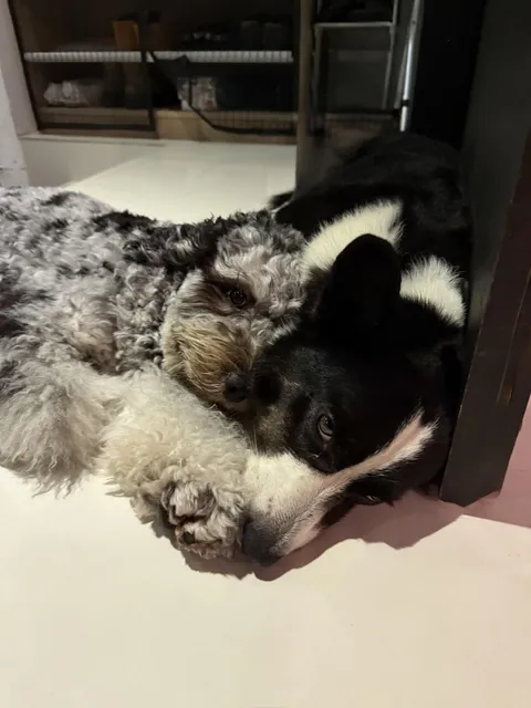 It’s taken a year and a half, but they finally started snuggling