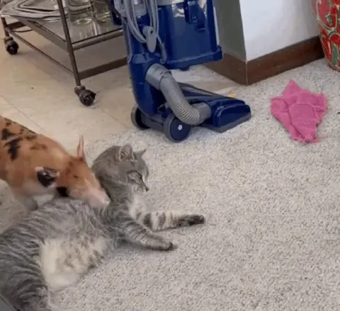 "Is it okay if I just lie down on top here?"