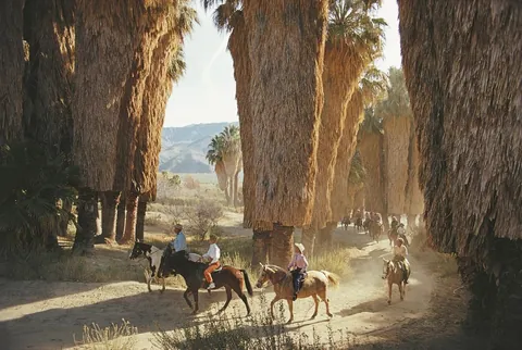 Photographs taken in California by Slim Aarons (1950s-1970s)