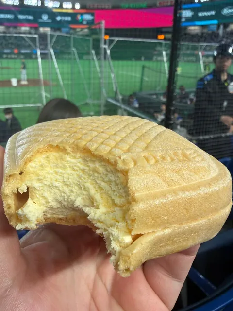 An Ice Cream Sandwich at the Tokyo Dome