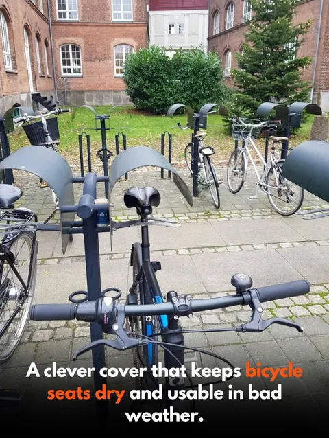 Design that puts People, Animals and Nature first.