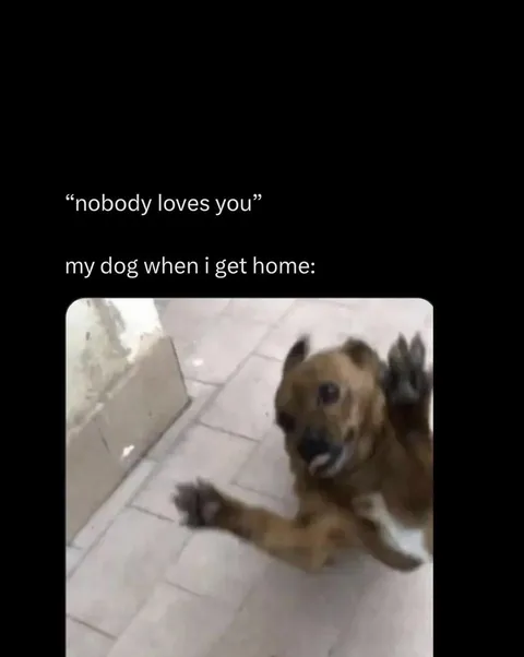 The best welcome home ever