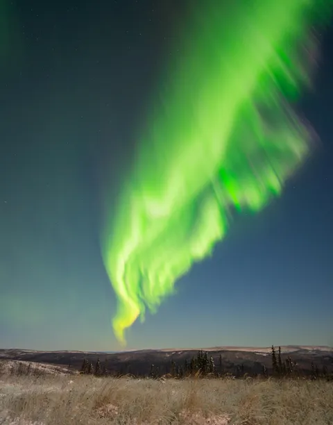 Aurora in Alaska [4029x5132] [OC]