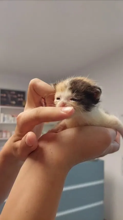 When the milk takes forever to warm up...