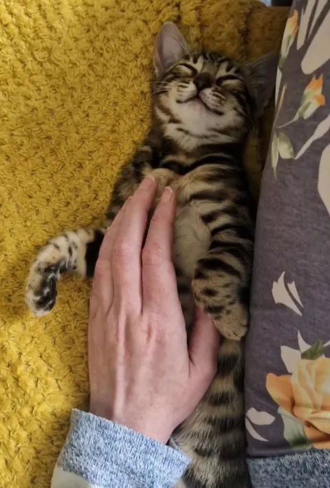 My girl smiles in her sleep ♡