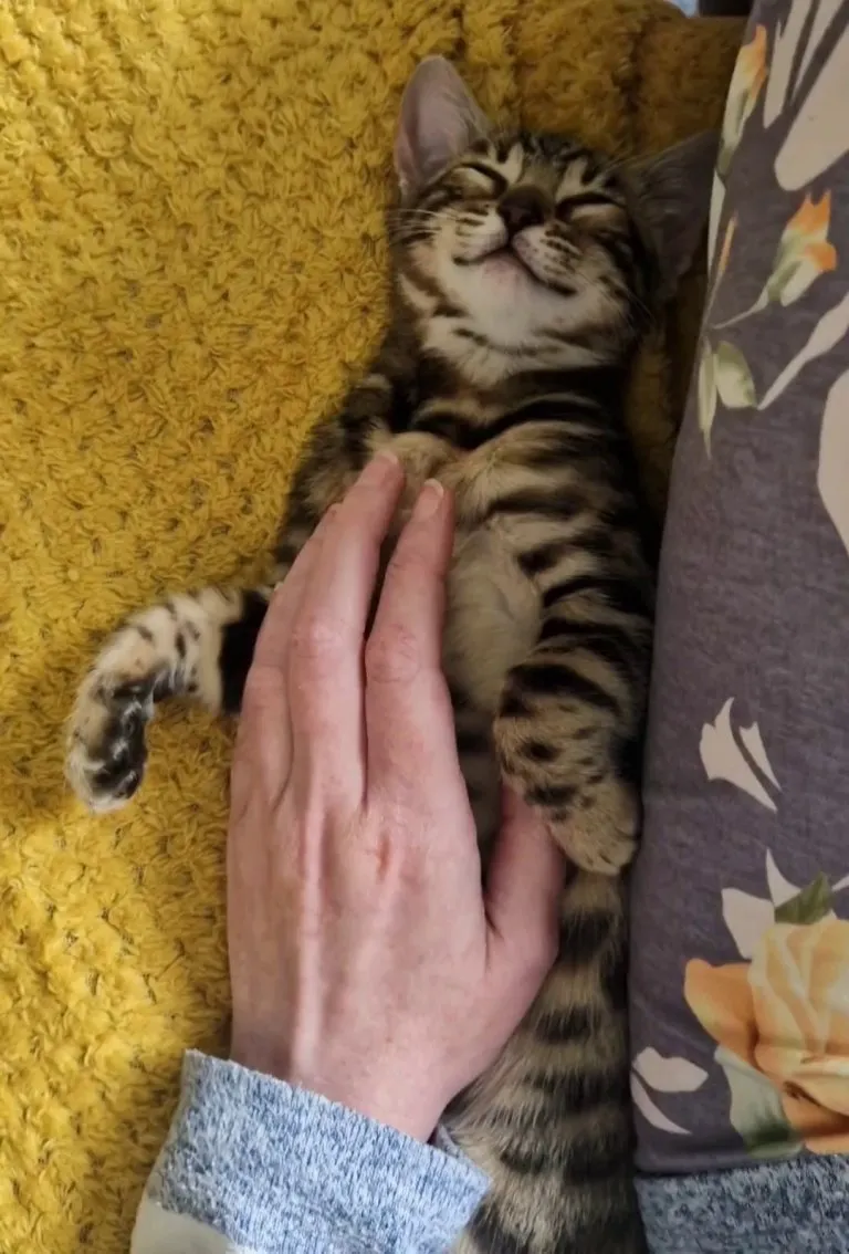 My girl smiles in her sleep ♡