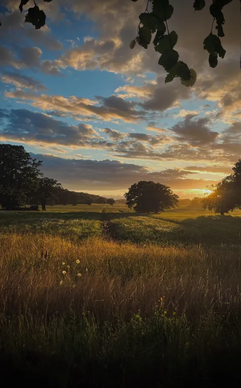 ITAP of a field 4 months ago