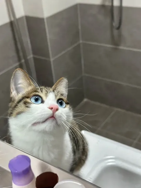 She seems to know that she is very beautiful in the mirror