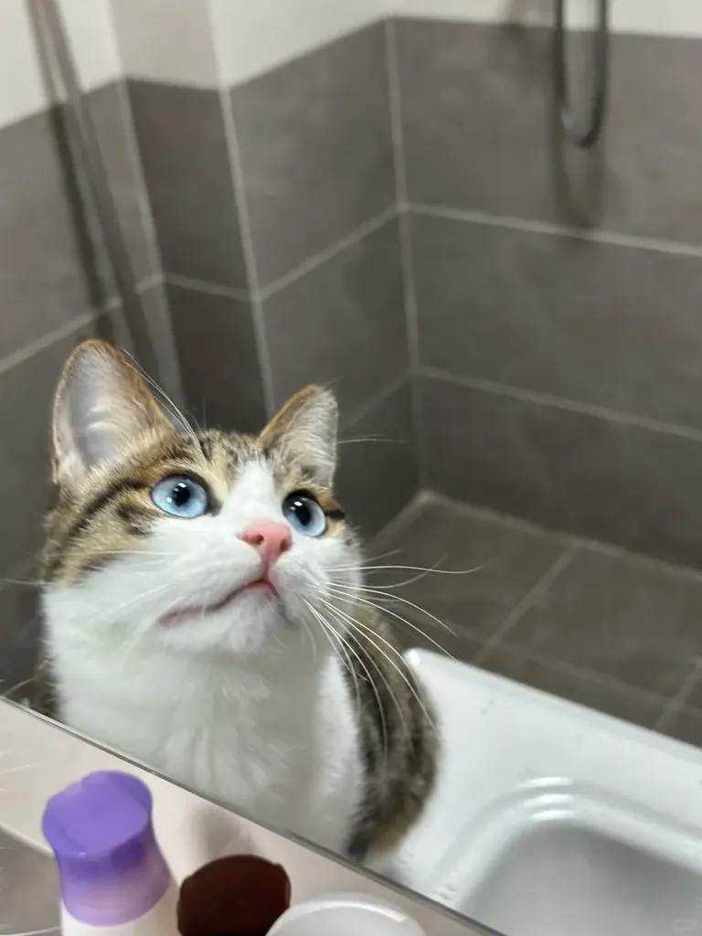 She seems to know that she is very beautiful in the mirror