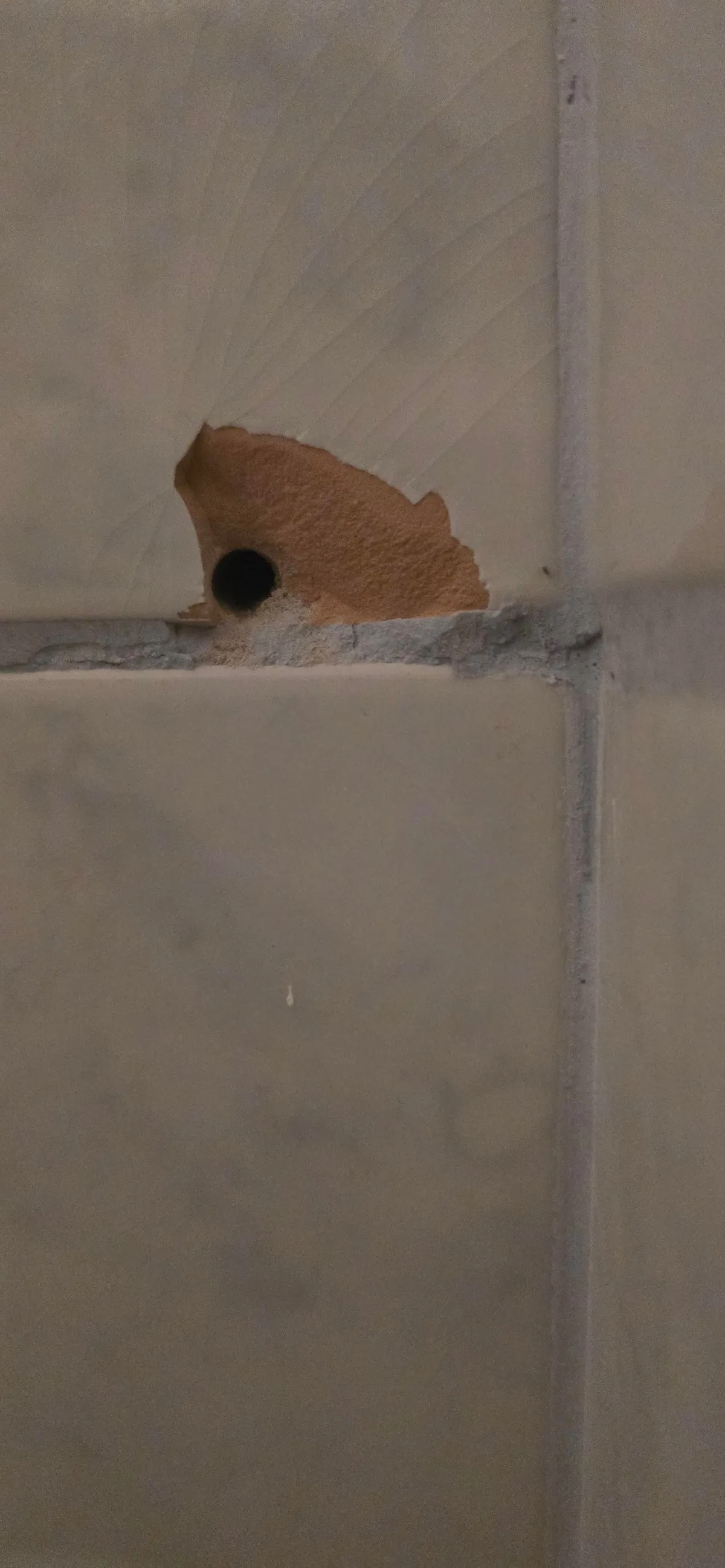 Neighbors drilled my wall... TWICE