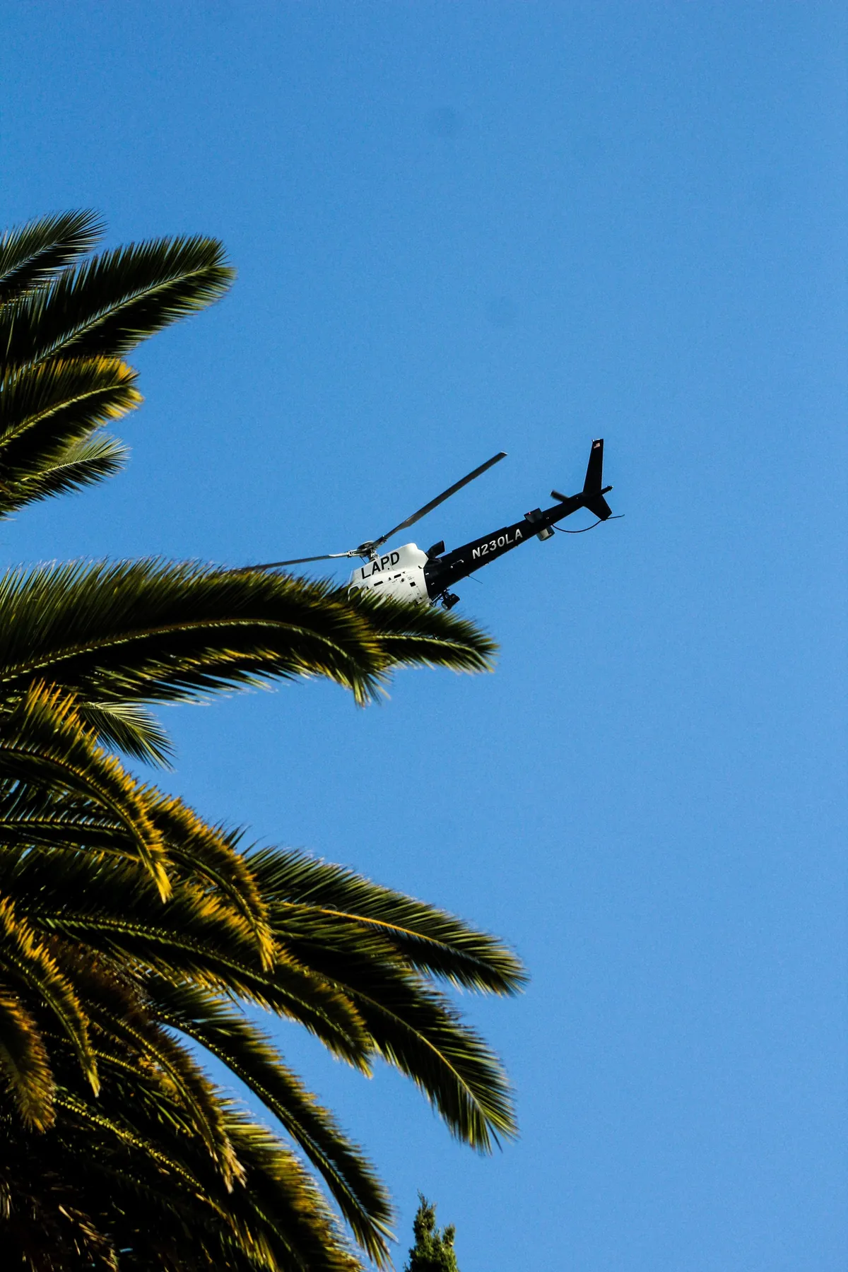 protest outside the LA mayor’s house criticized her compliance with ICE; LAPD came in droves [OC]