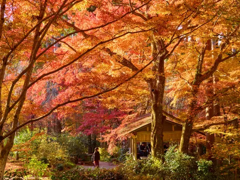 Autumn in Kansai, Japan
