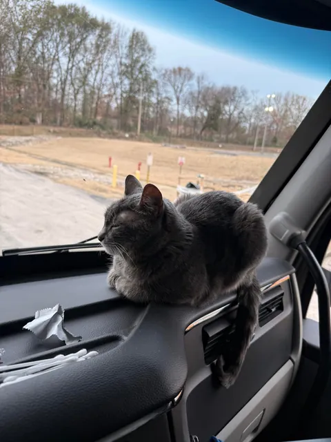 Lola is a truck driver 🚛!! She is 11 years old. 🙂