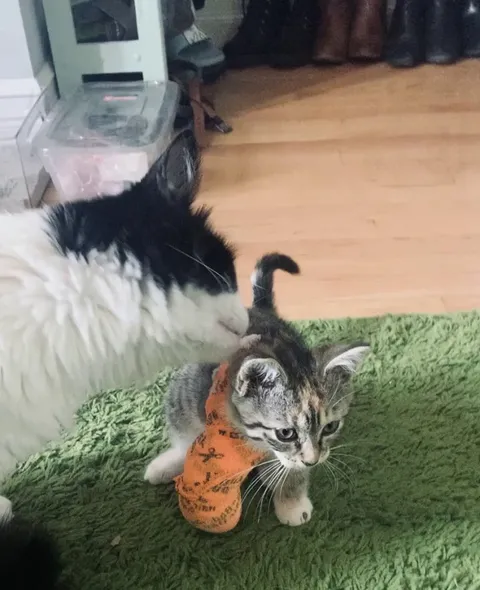 Big brother comforts little sister.