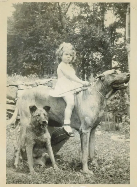 Young girl gives a serious look as she mounts her ride. Wonder how uch she did this to the dog to just stay still, circa 1920-30s