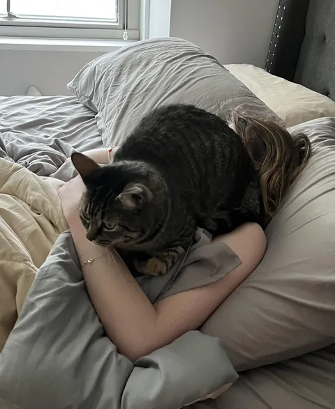 6:04 am, my wife didn’t wake up to feed her (we’ve had an automatic feeder for 6 months now)