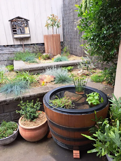 Added a fish pond to my garden today! 