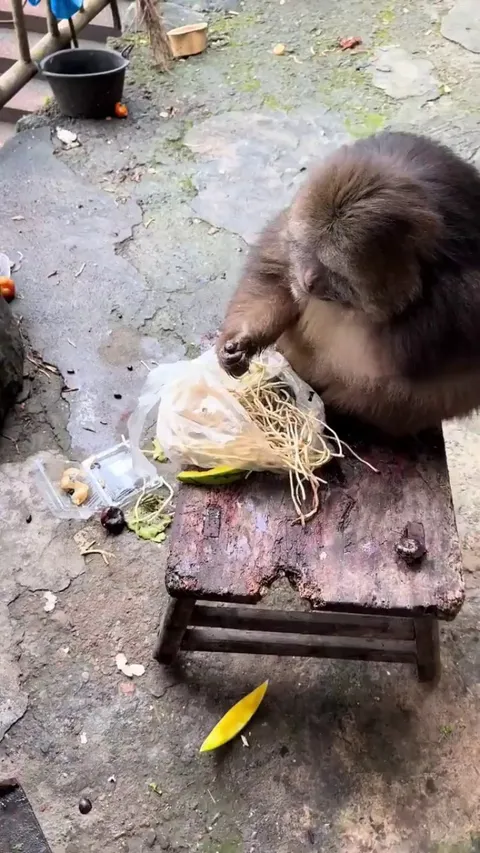 So many things were said without a single word