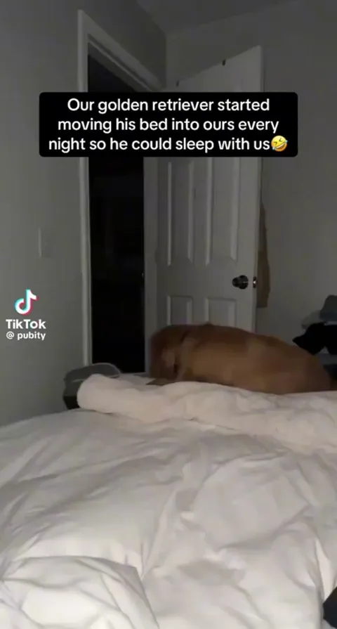 How can you even say no after all this effort