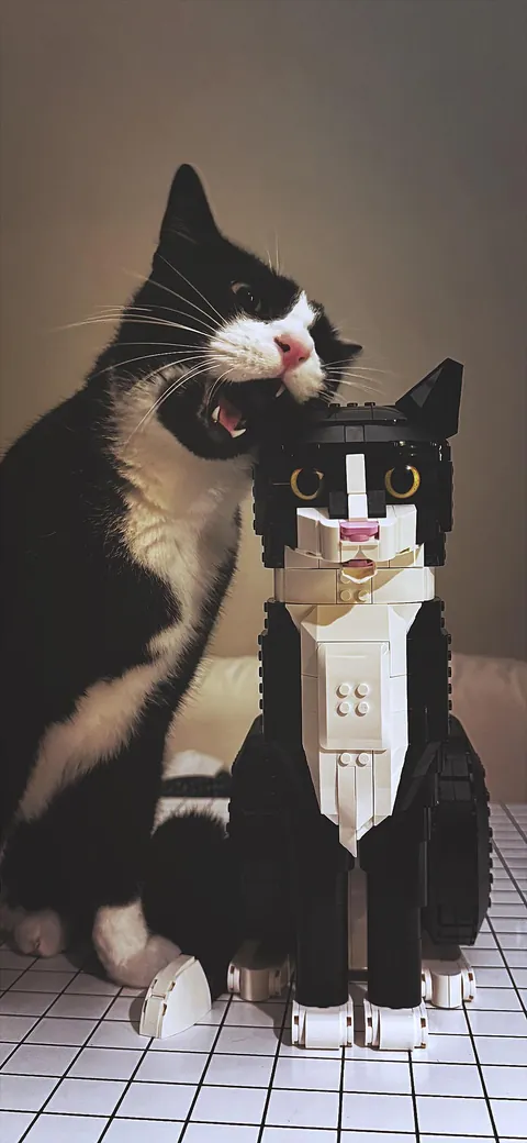 ITAP of my cat trying to kill its LEGO clone