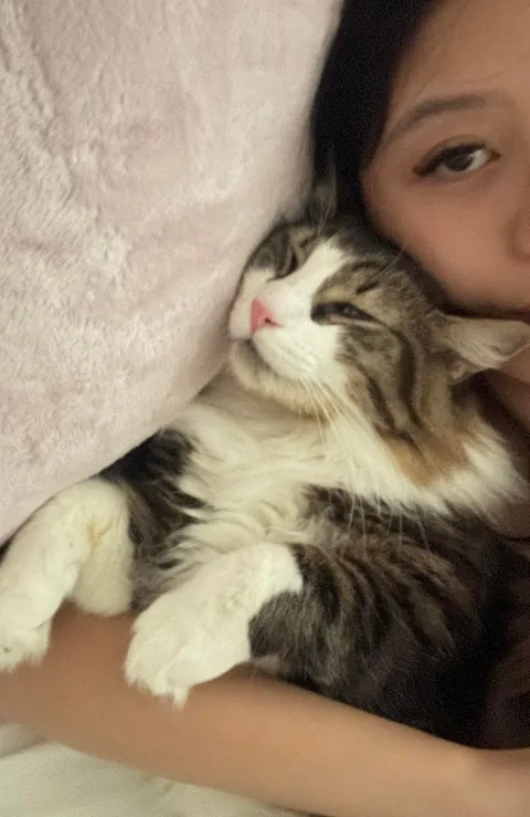 Cat distribution system got me 🖤