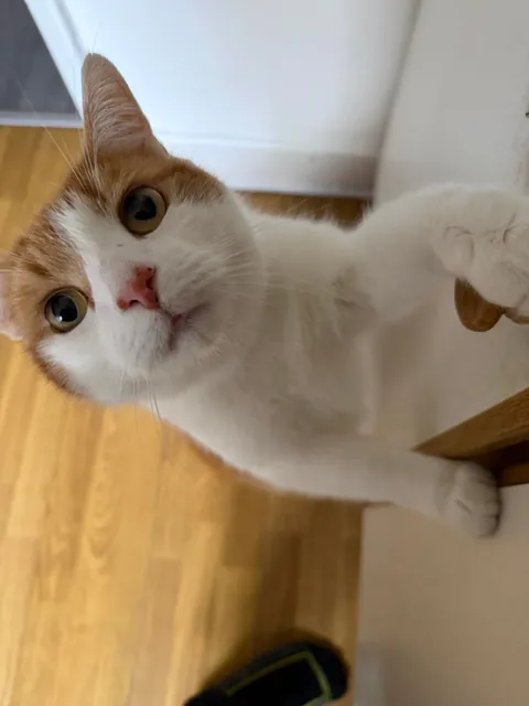 I just wanted you all to meet my boy ❤️