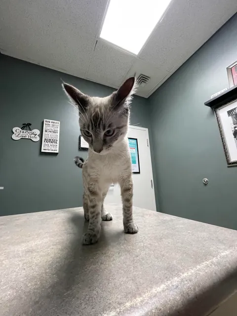 The face of a man with a $400 tummy ache.