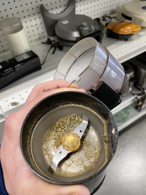 Went shopping for a coffee grinder at my local thrift store, it was filled with weed. 