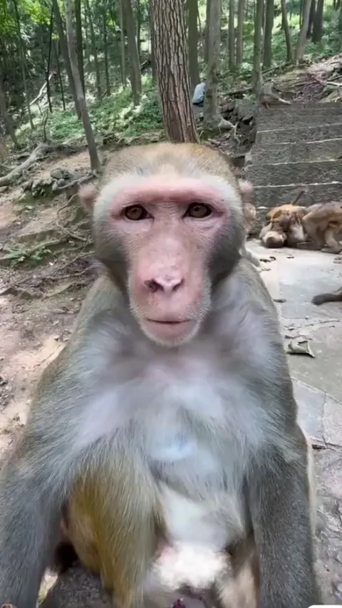 Bro reached enlightenment as soon as the turban touched his head