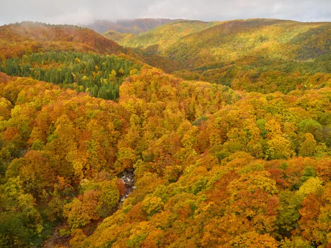 Jogakura Valley, Hakkoda Mountains, Japan [OC] [5184x3888]