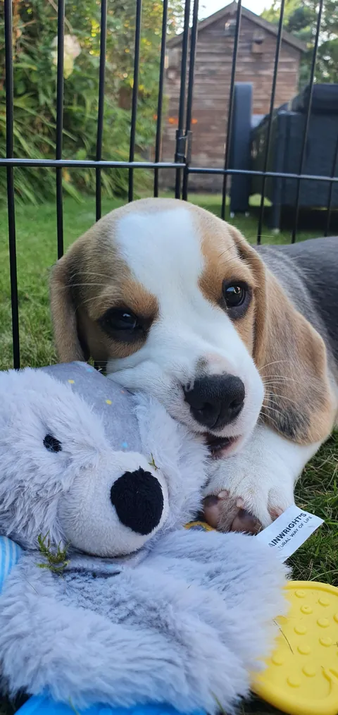 You were so tiny, now you're all grown up!