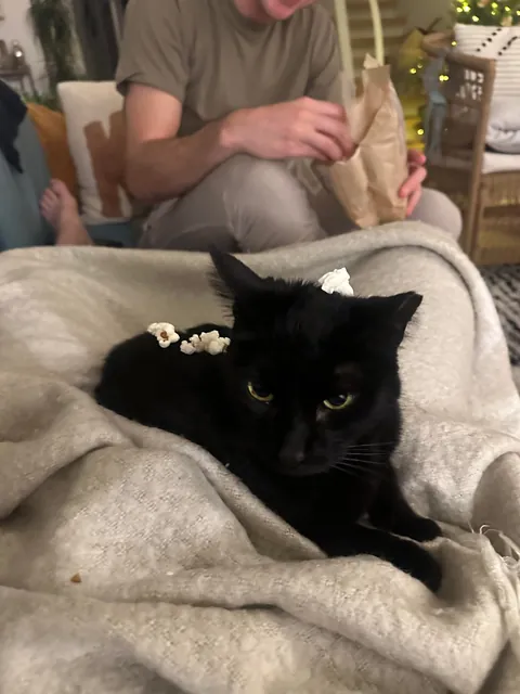 We’re saying goodbye to this icon tomorrow.