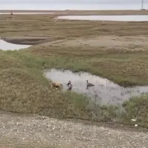 That's what it means to be the head of the family!