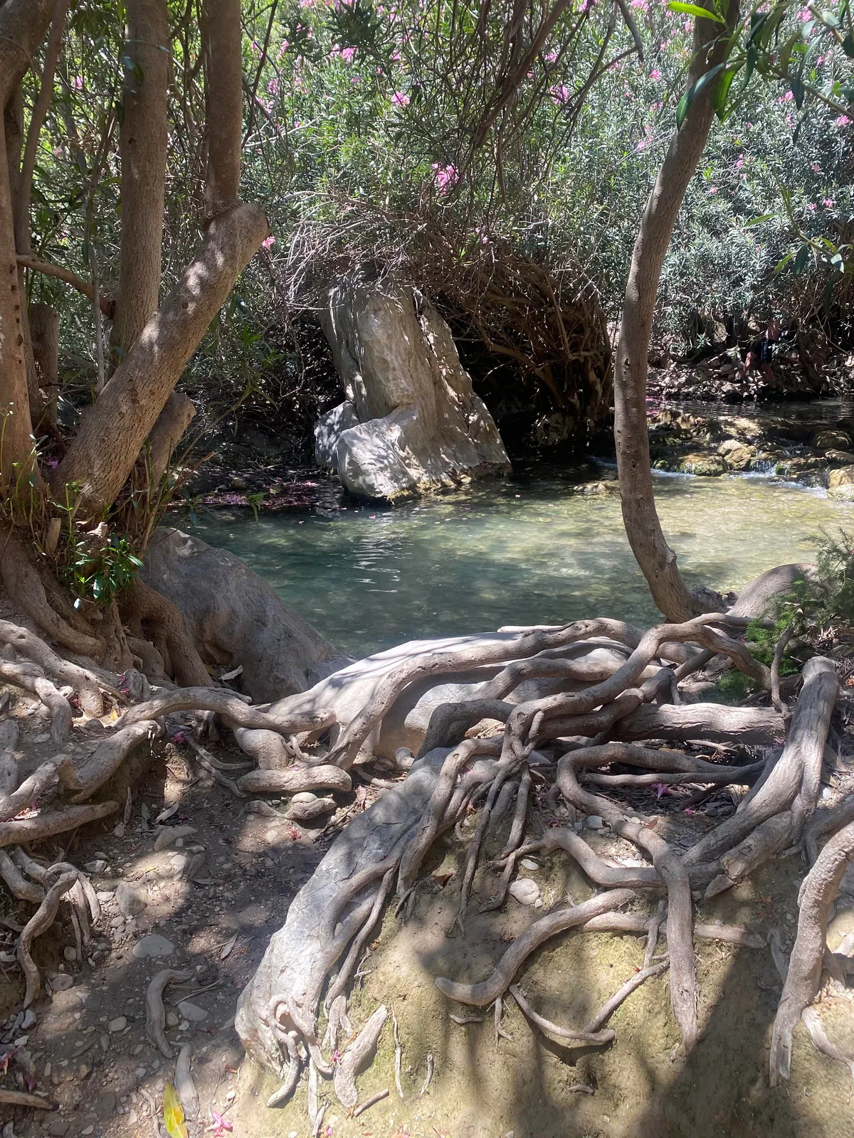 My time in Dénia Spain 🏴󠁧󠁢󠁥󠁮󠁧󠁿 🛫🇪🇸