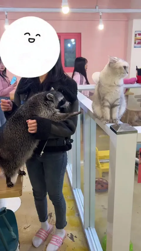 Rocket raccoon met his match