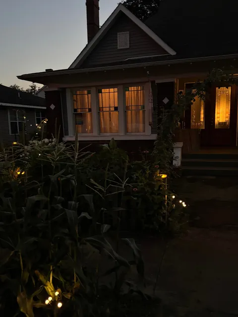 My front garden 🧚‍♀️🌱