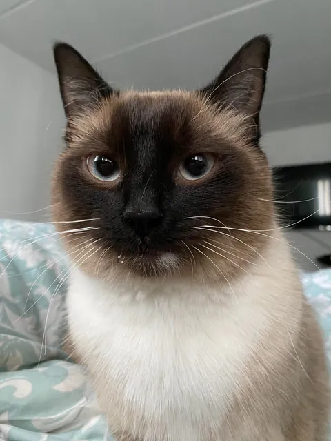 I didn’t know it would be our last day together