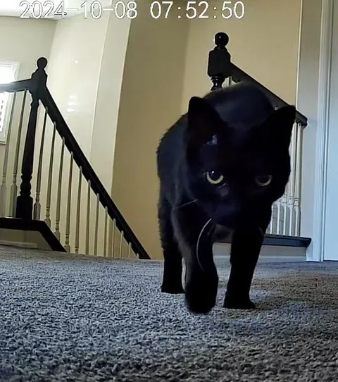 I’ll never stop loving you