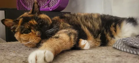 This breaks my heart but I've been single for *so* long