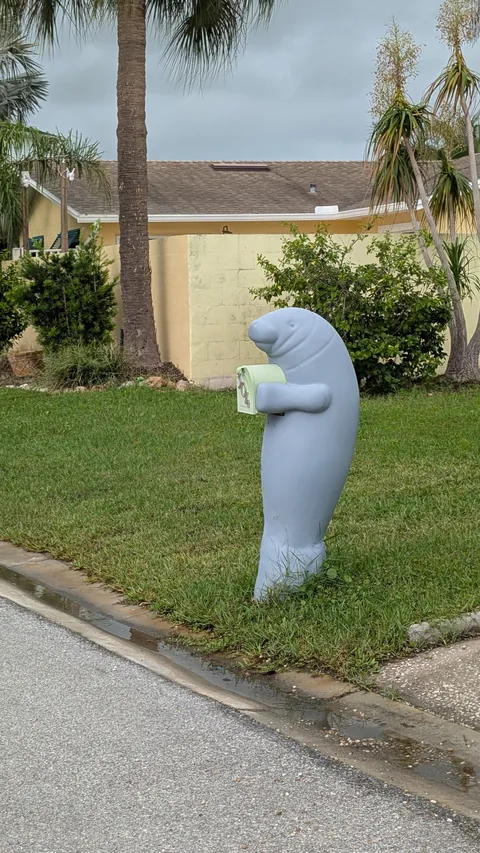 A manatee holding a mailbox in Florida