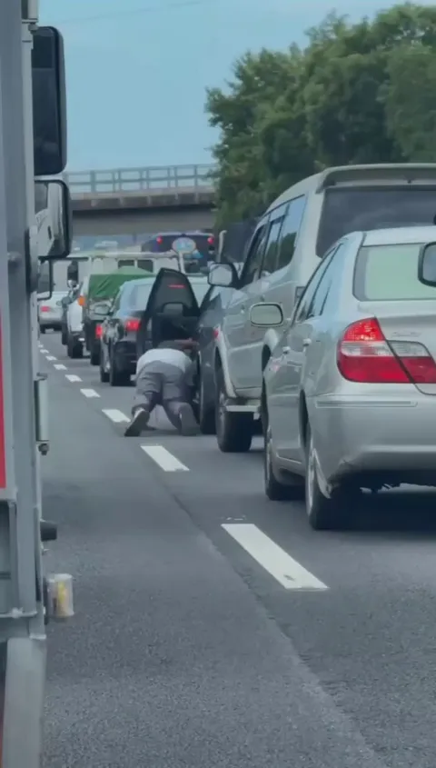 Old man saves a tiny furball on the motorway