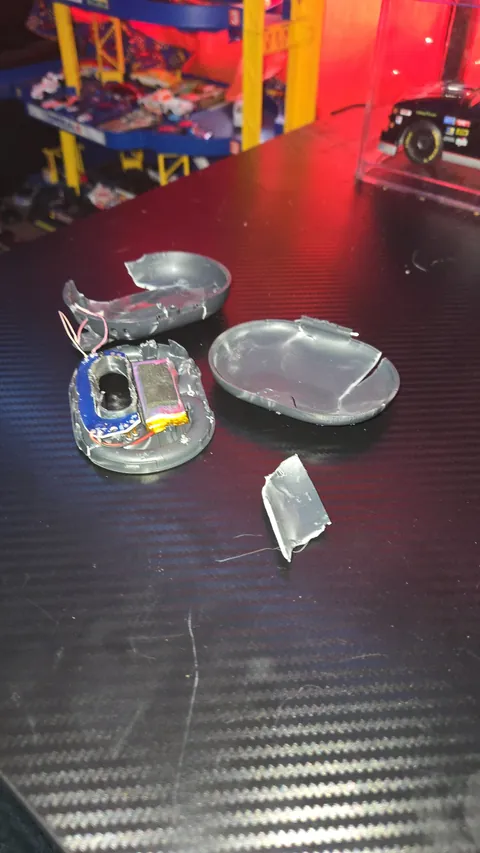 Sad now.... dropped on the way to school. Run over by 2 busses