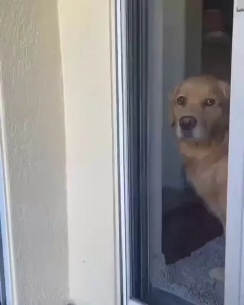 Mission impossible... Oh wait, its actually possible 