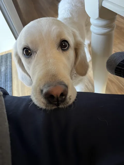 The look I get when I’m not sharing my food