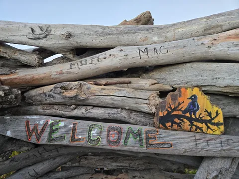 The Crow's Nest, a drift wood fort built by me on a beach in Central California